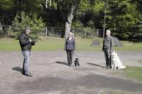 Die Schlu&szlig; &Uuml;bung